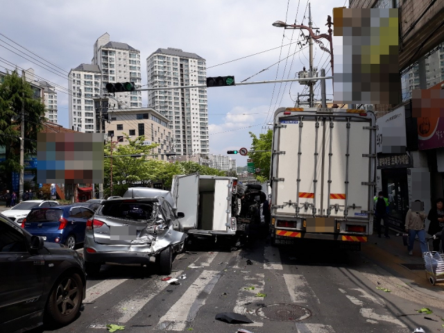 9.5t 트럭 가로수