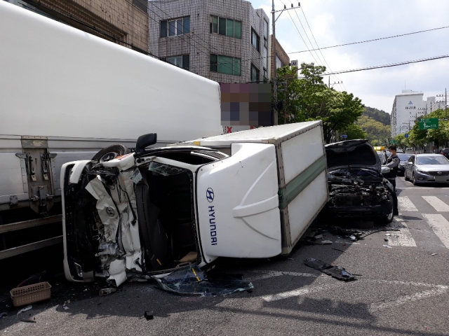 9.5t 트럭 가로수 