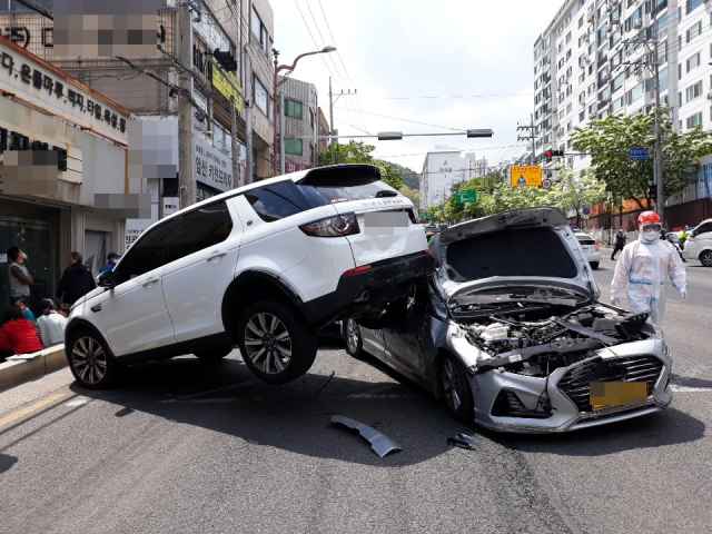 9.5t 트럭 가로수 