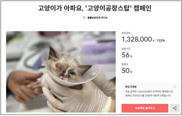 동물보호단체 라이프에서 추진하는