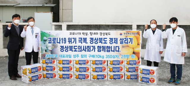 경상북도 의사회는 28일 2천만원 상당의 성주참외를 대량 구매해 지역 감염병전담병원, 선별진료소와 코로나19 의료봉사단 등에 전달했다. 경상북도의사회 제공