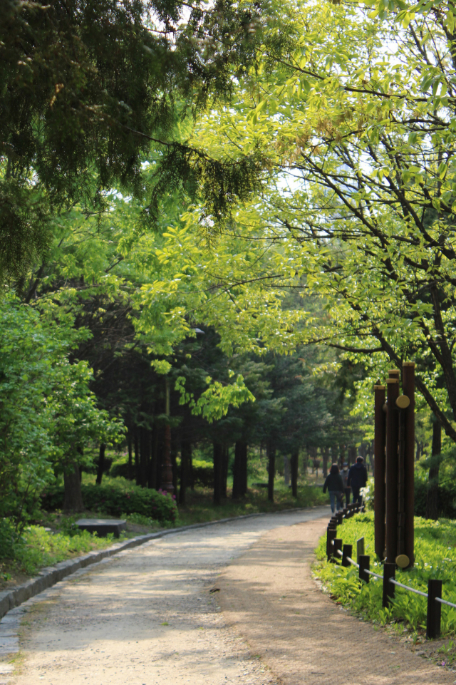 29일 한밭수목원 서원 소나무숲길에서 시민들이 산책을 즐기고 있다. 문승현 기자