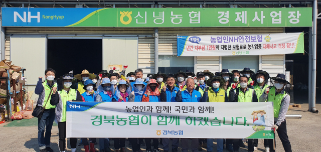 일손돕기에 나선 경북농협 관계자들이 기념촬영을 하고 있다. 경북농협 제공