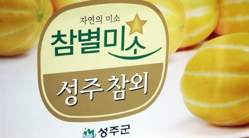 다양한 성주참외 브랜드 이미지. 2030 젊은 소비자에게 강하게 어필할 수 있는 브랜드로의 변화가 요구된다.