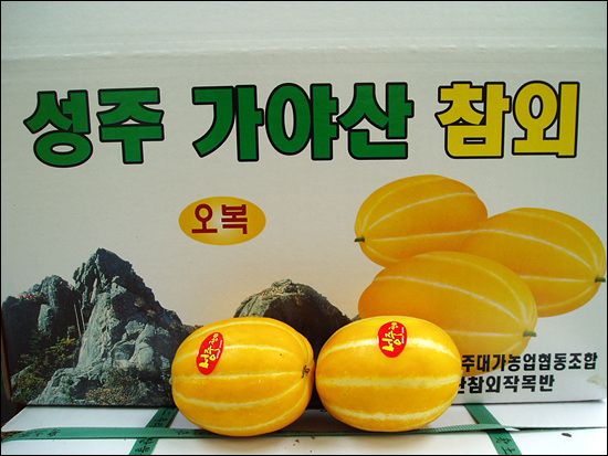 다양한 성주참외 브랜드 이미지. 2030 젊은 소비자에게 강하게 어필할 수 있는 브랜드로의 변화가 요구된다.