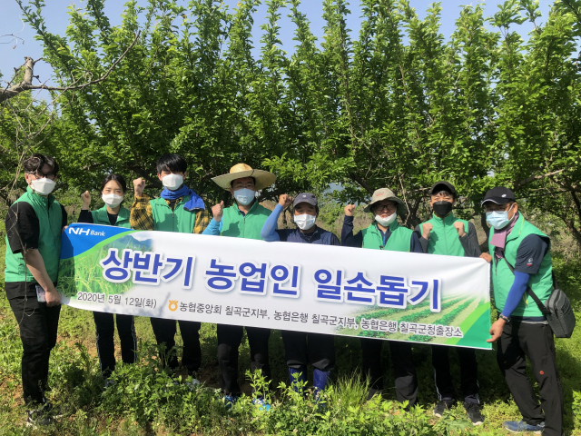 농협 칠곡군지부 제공