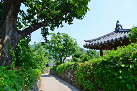군위 한밤마을 돌담길. 경북문화관광공사 제공