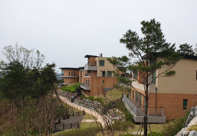 안동호반휴양자연림 모습. 경상북도 제공