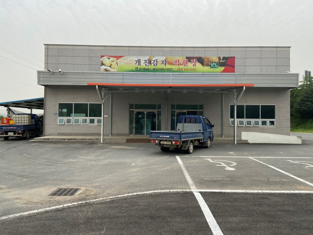 경북 고령군 개진감자영농조합법인(대표 이용석)은 지난 15일부터 개진감자직판장(개경포로 1250)을 개장했다. 고령군 제공