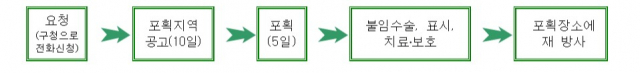 TNR 과정. 남구청 제공