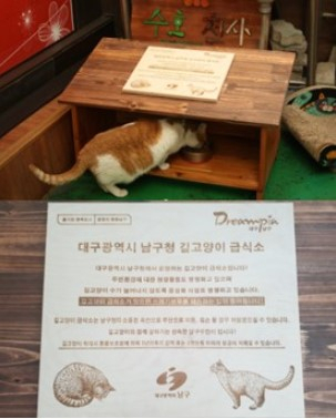 지난해 대구 남구 대명시장 등 일대에 지자체 협력으로 길고양이 급식소가 마련돼 현재까지 운영 중이다. 남구청에 따르면 덕분에 고양이 관련 민원이 전보다 줄었다. 더불어민주당 제공