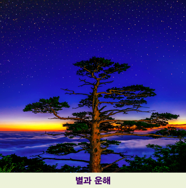 장국현 작 