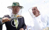 주호영 통합당 원내대표(왼쪽)와 안상규 대표가 국회도서관 옥상에 설치된 벌통에서 꿀을 채밀하고 있다. 김병훈 기자
