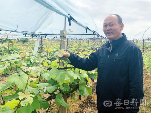 조흔 와이너리 서광복 대표가 포도밭을 소개하고 있다. 구민수 기자