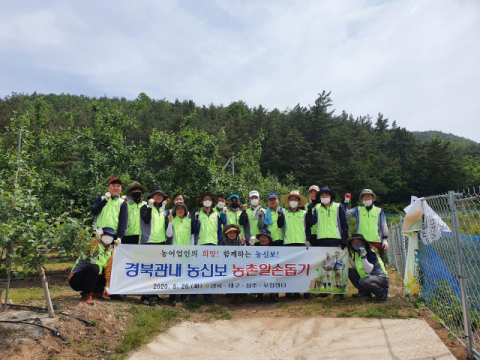 경북 지역 농신보 임직원들이 26일 청송 사과농가에서 농촌일손돕기를 했다. 경북농협 제공