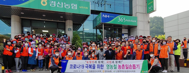 농협 경산시지부와 고향주부모임 경산시지회 영농봉사단 등 150여명은 27일 경산 남천면 농가를 찾아 일손돕기 활동을 펼쳤다. 농협 경산시지부 제공