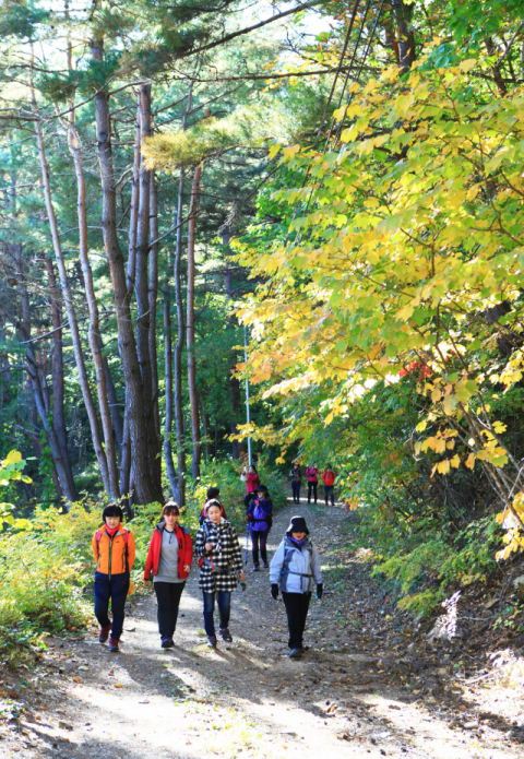 영양군이 지역혁신협의회 우수과제 공모에 선정되면서 외씨버선길 재도약에 나선다. 영양군 제공