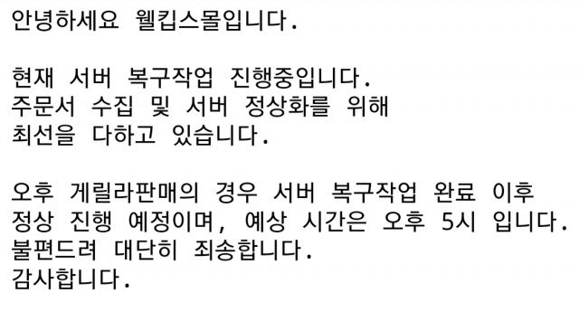 5일 비말차단용 마스크 판매를 시작한 마스크 업체 판매사이트에서 게시한 서버 복구작업 관련 공지. 온라인 갈무리