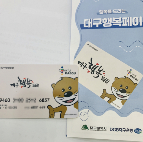 대구행복페이 실물 카드. 구민수 기자