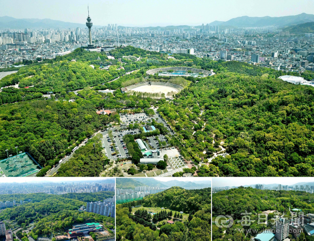 대구 도심 상공에서 내려다 본 두류공원(큰 사진)과 범어공원(아래 왼쪽부터), 학산공원, 침산공원 등이 녹색으로 물들어 있다. 매일신문 D/B