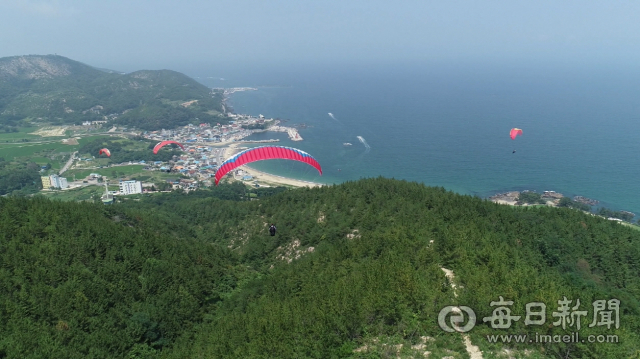 포항 칠포해수욕장 패러글라이딩장 시설을 두고 포항시의회가 감사원 청구를 검토하는 등 집행부와 잡음을 겪고 있다. 매일신문DB