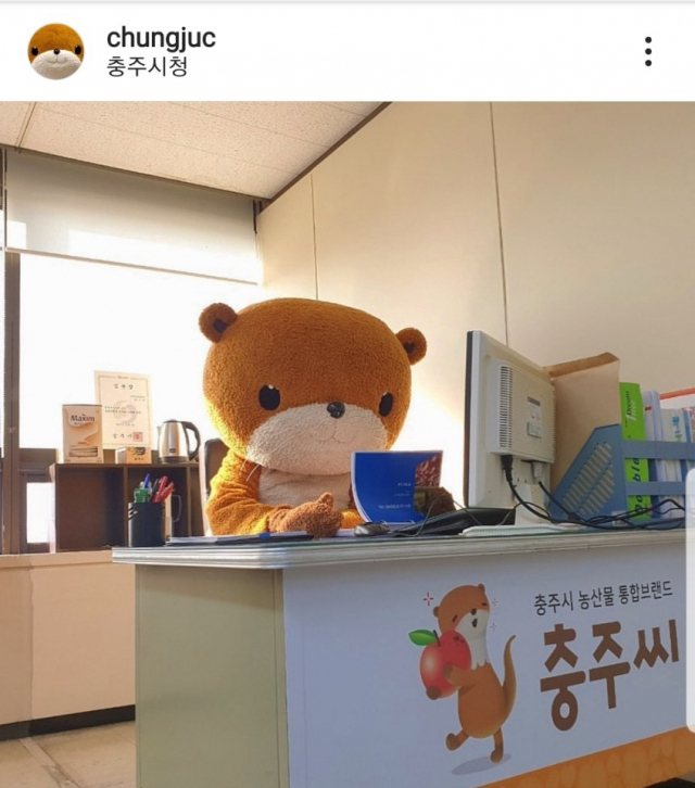 수달을 캐릭터로 내세운 대구시(왼쪽 상단), 충북 충주시(오른쪽), 강원 인제군(왼쪽 하단). 대구시는 아직 수달 캐릭터를 개발 중이라 매년 수달 모양이 달라지고 있다. 충주씨의 경우 인간의 수달화(化)로 먼저 반응을 살피고 굿즈 개발을 진행 중이다. 이주형 기자