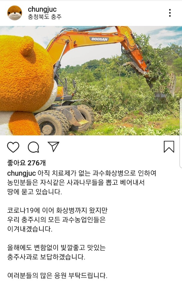 경북 대표 프리미엄 과일 브랜드 데일리(daily). 사이소몰 캡쳐