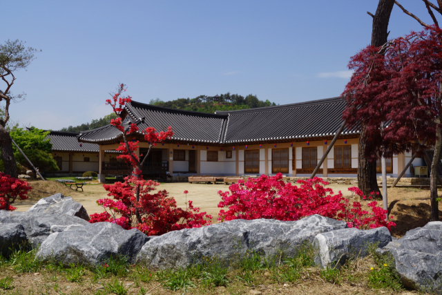 경북 농촌체험휴양마을의 하나인 예천 금당실체험마을 전경. 경북도 제공