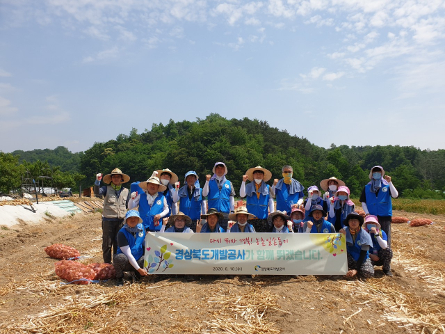 경상북도개발공사 직원들이 지난 10일 영주 한 마늘재배 농가에서 일손돕기를 마친 후 기념촬영을 하고 있다. 경북개발공사 제공