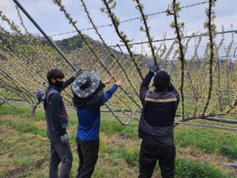 귀농인 멘토 멘티 교육 현장. 김천시 제공