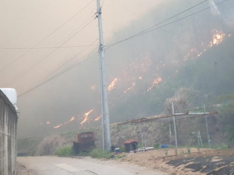 지난 4월 24일 경북 안동 산불 발생 당시 남후면 검암리 한 마을까지 산불이 내려온 모습. 권오경 씨 제공
