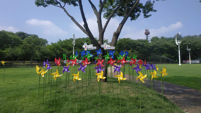 코오롱야외음악당 잔디광장. 대구문화예술회관 제공