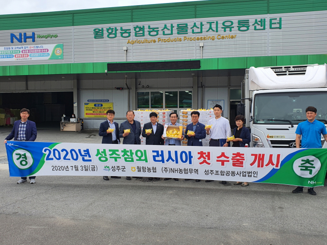 성주군, 월항농협 등 관계자들이 성주참외 러시아 사할린 첫 수출 행사를 갖고 있다. 성주군 제공