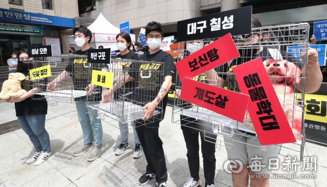 지난달 6일 대구시청 앞에서 대구동물보호연대 등 관련 단체 회원들이 대구 칠성 개시장 폐쇄 촉구 기자회견을 가진 뒤 퍼포먼스를 펼치고 있다. 성일권 기자 sungig@imaeil.com
