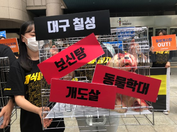 6일 오전 대구시청 앞에서 대구동물보호연대, 동물권행동 카라, 동물자유연대 등 3개 시민단체는 기자회견을 열고 