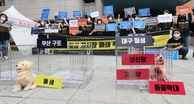 초복을 열흘 앞둔 6일 대구시청 앞에서 대구동물보호연대 등 관련 단체 회원들이 대구 칠성 개시장 폐쇄 촉구 기자회견을 열고 있다. 성일권 기자 sungig@imaeil.com