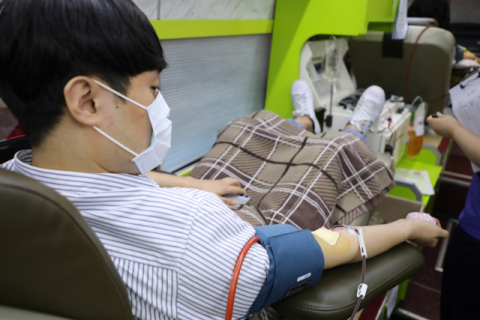 13일 신천지 교회 신도들이 경북대병원의 대한적십자사 차량에서 혈장 공여를 하고 있다. 신천지 교회 제공