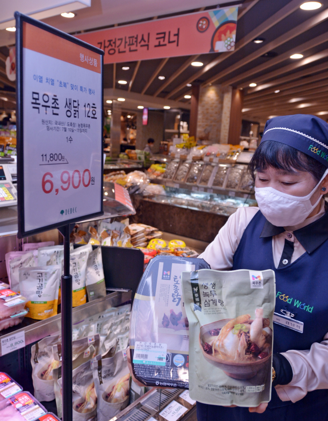 대구백화점 프라자점은 16일 초복을 앞두고 백숙 및 삼계탕용 토종닭과 육계를 마리당 4천9백원부터 1만2천9백원에 판매 중이다. 종가집 삼계탕(8천9백원→5천980원), 목우촌 안심 삼계탕(1만5백원→7천6백원) 등 즉석조리식품 삼계탕도 가격을 낮춰 판매한다. 대구백화점 제공