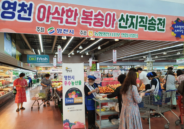 농협영천시연합사업단은 22일까지 농협울산유통센터에서 출하 성수기를 맞은 영천지역 복숭아 판매확대를 위해 