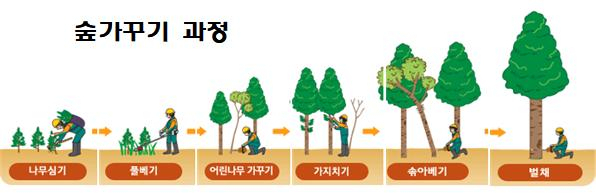 숲가꾸기 과정