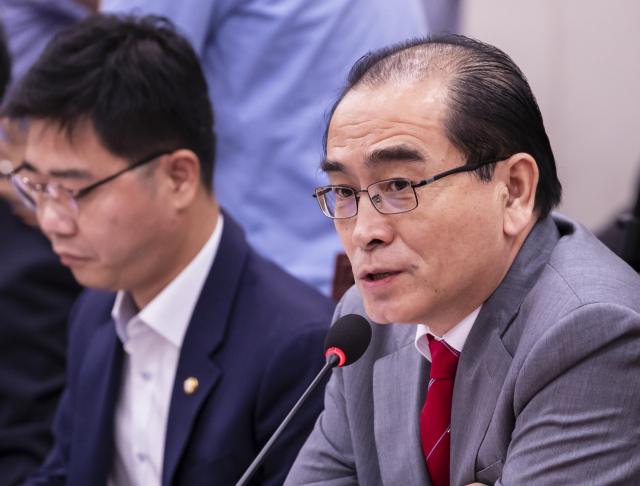 미래통합당 태영호 의원이 지난 14일 오전 국회 외교통일위원회 전체회의에서 발언하고 있다. 왼쪽은 지성호 의원. 연합뉴스