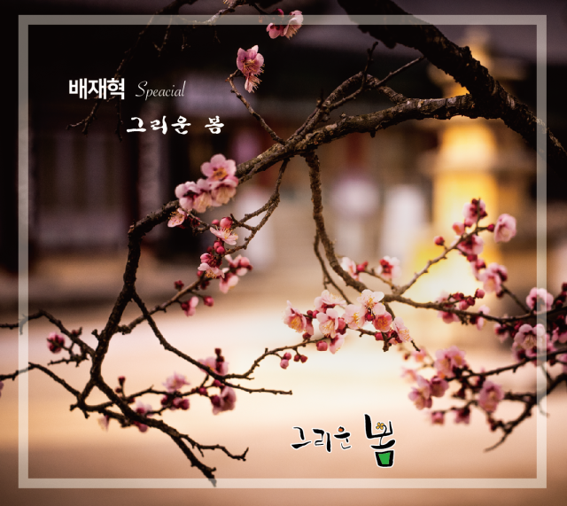 배재혁 Special 음반 