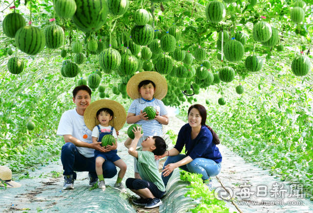 우수상 배종락 작