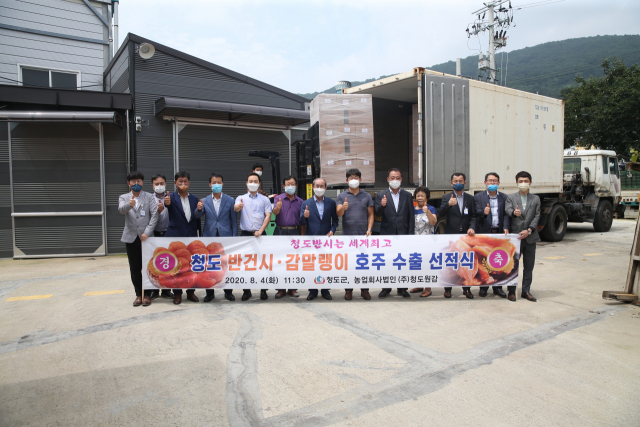 청도 반건시·감말랭이 호주 첫 수출 선적식