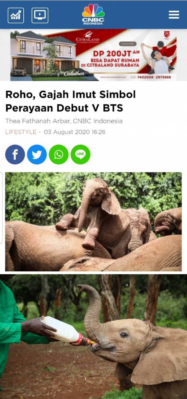 사진. 뷔의 아프리카 팬베이스인 