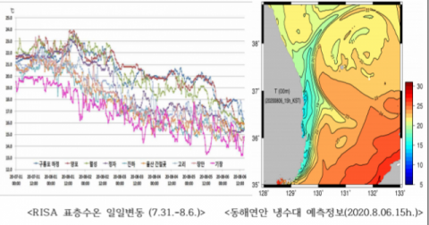 6일 오후 국립수산과학원 실시간 해양환경 어장정보시스템(RISA) 수온 정보.