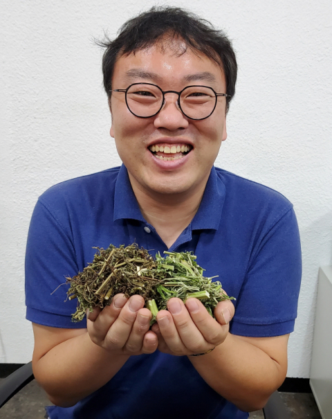 이승용 대구 한약재도매시장 대표가 인진쑥와 익모초를 들고 약재에 대해 설명 중이다. tong@imaeil.com