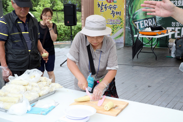8홍천 찰옥수수 축제
