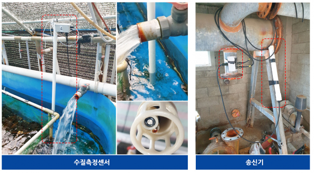 포스텍 경북씨그랜트센터와 경북어업기술센터가 공동으로 개발해 경북지역 양식장에 적용한 스마트 양식기술. 포스텍 제공.