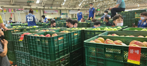17일 연휴가 끝나고 개장한 안동농협 농산물공판장에서 사과상자 사용 수수료를 둘러싸고 상자 임대업체와 중도매인 사이에 마찰이 빚어지면서 